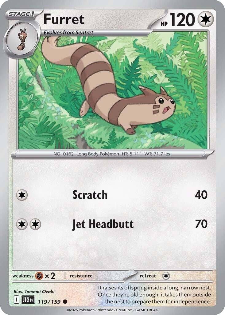 Image for Furret (119/159) - Pokemon