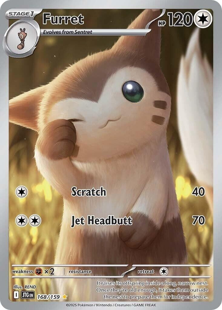 Image for Furret (168/159) - Pokemon