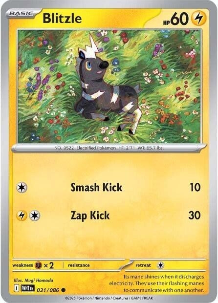 Image for Blitzle (031/086) - Pokemon