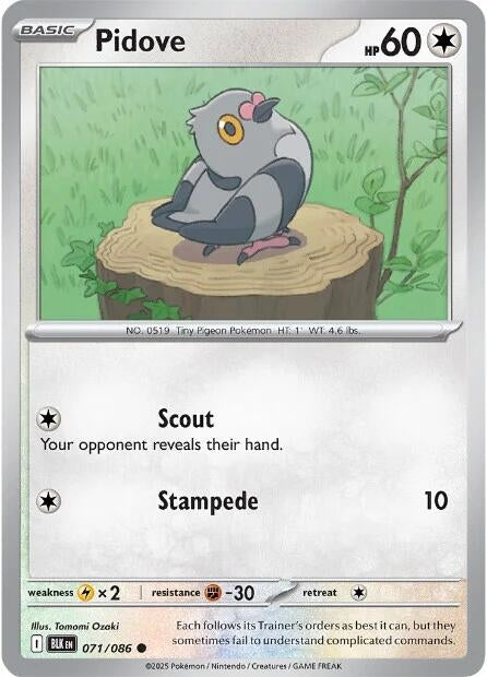 Image for Pidove (071/086) - Pokemon