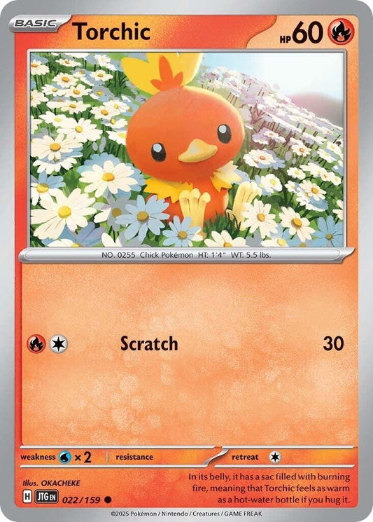 Image for Torchic (022/159) - Pokemon