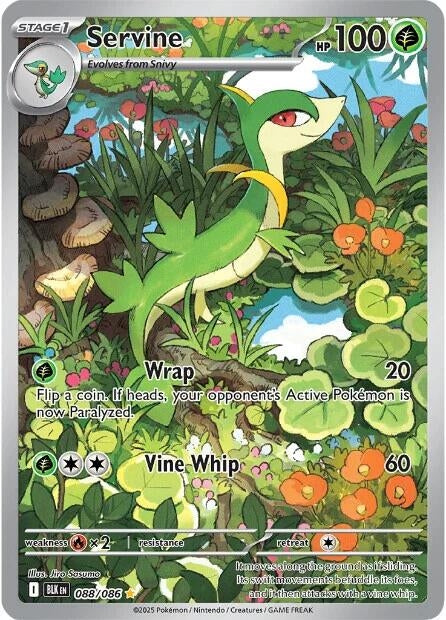 Image for Servine (088/086) - Pokemon