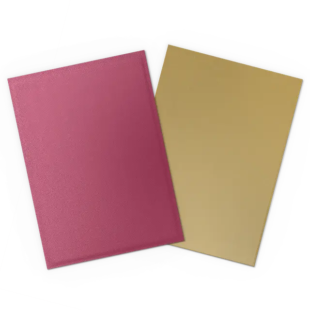 25th Special Edition - Matte Dual Sleeves - Red/Gold